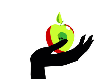 Vector illustration of an Apple.Symbolize the forbidden fruit or a healthy lifestyleのイラスト素材