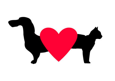 Pet design over white background, vector illustrationのイラスト素材