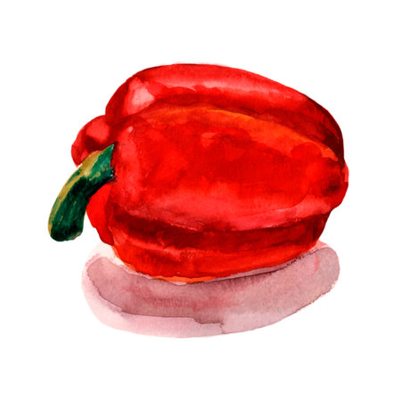 Red sweet Bulgarian pepper. Paprika highlighted on a white background. Watercolor illustrationのイラスト素材