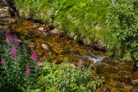 The river Bear Creek in the national park Krkonose in the Czech Republicの写真素材