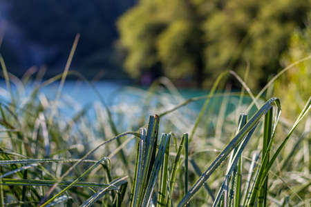 Virgin nature of Plitvice lakes national park, Croatiaの写真素材