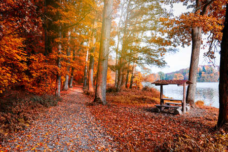 Pathway through the autumn forest with sunbeamsの写真素材