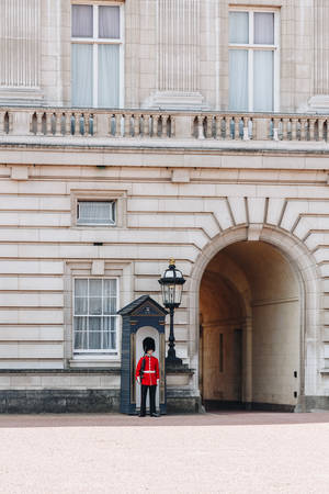 London, England - April 4, 2017: Queen's Guard at Buckingham Palace.のeditorial素材
