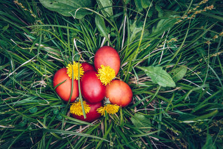 Red easter eggs on the grass with flowers and blowballs, spring holidays concept, naturally colored easter eggs with onion husks. Happy Easter, Christian religious holiday.の写真素材