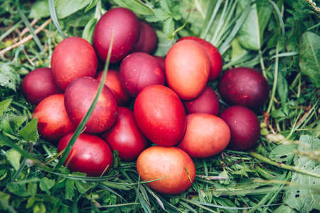 Red easter eggs on the grass with flowers and blowballs, spring holidays concept, naturally colored...