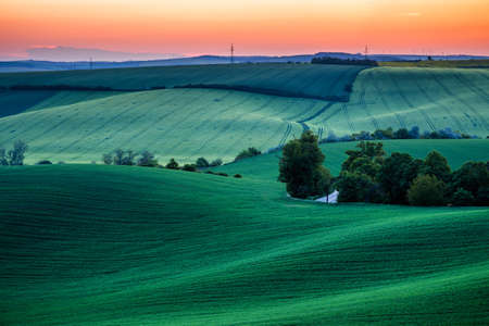 Endless Green Fields, Rolling Hills, Tractor Tracks, Spring Landscape under Blue Sky. South Moravia, Czech Republicの写真素材