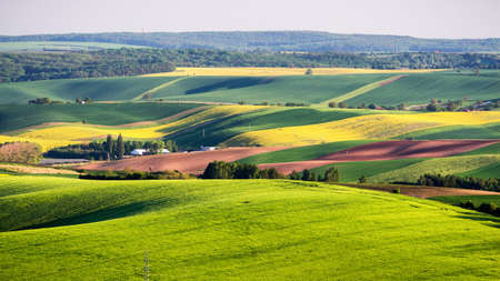 Endless Green Fields, Rolling Hills, Tractor Tracks, Spring Landscape under Blue Sky. South Moravia, Czech Republicの写真素材