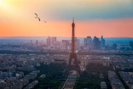 View of Paris with Eiffel Tower from Montparnasse building. Eiffel tower view with flying birds from Montparnasse at sunset, view of the Eiffel Tower and La Defense district in Paris, France.の写真素材