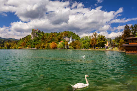 Amazing sunny scenery of Bled castle and St. Martin's Church and Bled town with reflection in the lake and the Julian Alps on background. Bled Lake, Slovenia.の写真素材