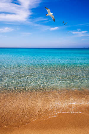 Yellow warm sand and summer sea with sky and free space. Sea, Sand, Sky and summer day. Beach and sea on a summer day, travel concept, vacation and relaxation. Summer sand beach and sea background.の写真素材