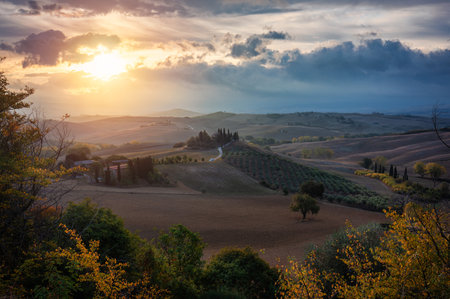 Well known Tuscany landscape with grain fields, cypress trees and houses on the hills at sunset. Summer rural landscape with curved road in Tuscany, Italy, Europeの写真素材