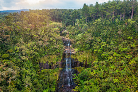 The Alexandra falls in the jungle of Mauritius island. Alexandra Falls aerial view in the Black River national park on paradise Island of Mauritius with the waterfall Alexandra Falls, Mauritius.の写真素材