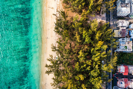 Beautiful Mauritius island with beach Flic en flac. Coral reef around tropical palm beach, Flic en Flac, Mauritius. Aerial view of a beautiful beach along the coast in Flic en Flac, Mauritius.の写真素材