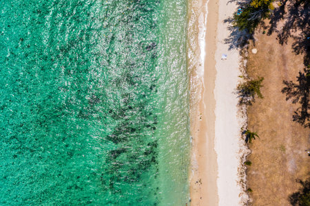 Beautiful Mauritius island with beach Flic en flac. Coral reef around tropical palm beach, Flic en...
