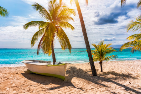 Paradise beach resort with palm trees and and tropical sea in Mauritius island. Summer vacation and tropical beach concept. Sandy beach with Le Morne beach on Mauritius island. Tropical landscape.の写真素材