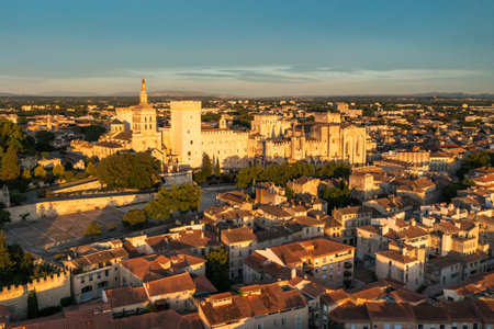 View of Avignon with Palais des Papes during sunset in Southern France. Medieval architecture along the Rhone River in Avignon, Provence, France. The Palais des Papes in Avignon, South France.の写真素材