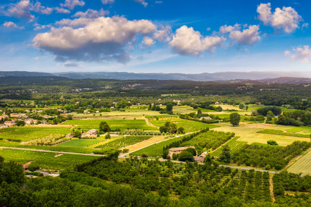 Breathtaking view of lush vineyards nestled in rolling hills on a cloudy day in the French countryside, Luberon mountains, France, Vaucluse. Serene landscape captures the beauty of rural France.の写真素材