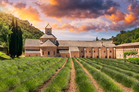 Romanesque Cistercian Abbey of Notre Dame of Senanque set amongst flowering lavender fields, near Gordes, Provence, France. Abbaye Notre-Dame de Senanque Romanesque Cistercian Abbey, Provence, France.の写真素材
