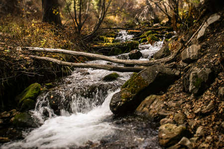 Beautiful cascading mountain river in the summerの写真素材