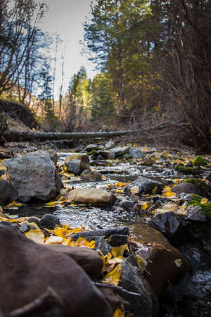 River flowing over rocks in autumn