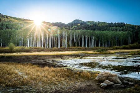 Mountain Pond in the Forest at Summer in the Morning With Blue Skiesの写真素材