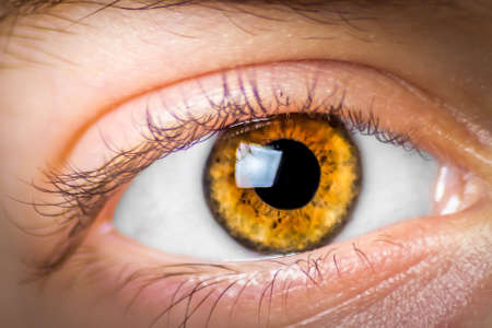 Extreme close up a girlâ€™s eye that is looking at the camera