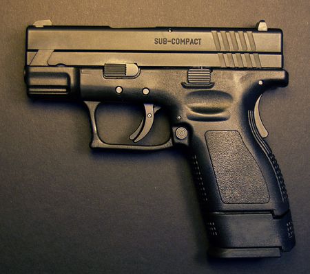 Supreme Court shot down the DC Gun Ban declaring it unconstitutional       