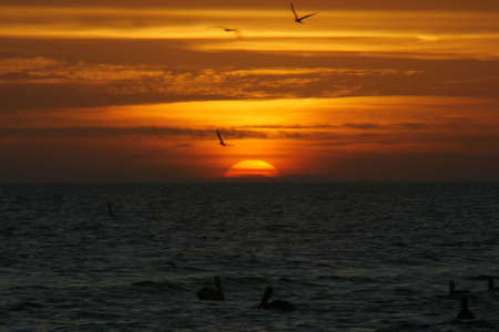 Sunset in Sanibelの写真素材