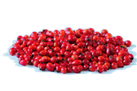 dog-rose fruitsの写真素材