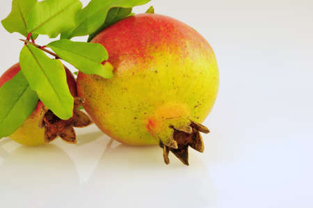 pomegranate fruits and leaves on white background - DSC0068の写真素材