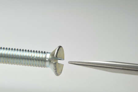 screw and screwdriver aligned on white background - DSC0926の写真素材