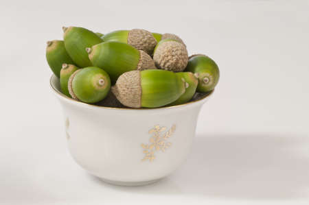 white cup full of green acorns - DSC0407の写真素材