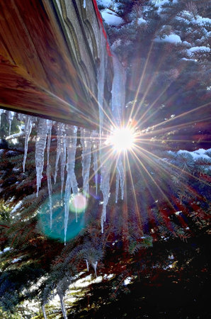 Icicles on cottage with green Pine Tree on the Background.の写真素材