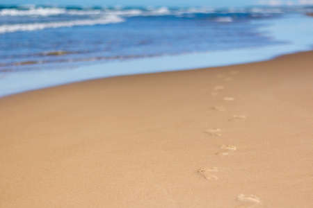 Footprints in sand at beach leading towards seaの写真素材