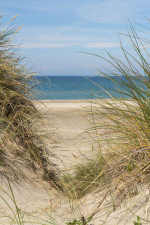 View over the sea from dunes covered in lyme grassの写真素材
