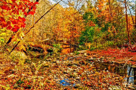 Autumn
