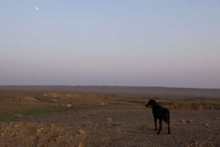 Twilight of the Mongolian steppeの写真素材