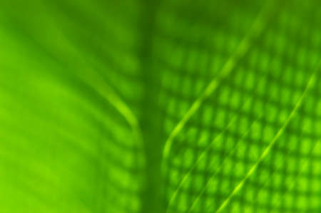 abstract of leaf