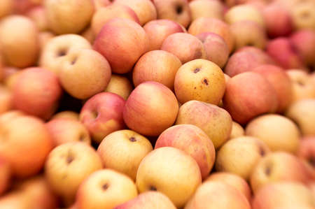 Appleの写真素材