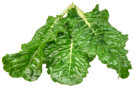 Swiss chard Beta vulgaris leaves on a white background.  Chard is a leafy green vegetable often used...