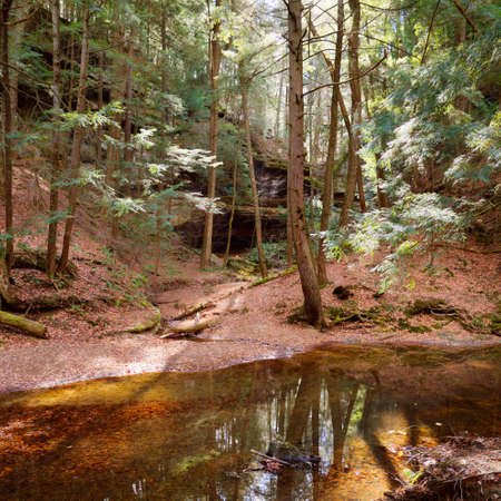A peaceful woodland water stream in Ohio's Hocking Hills State Park.の写真素材