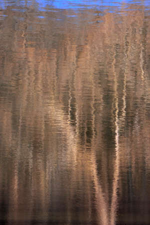 Rippled water surface reflecting trees. Reflection of trees in rippled water surface.