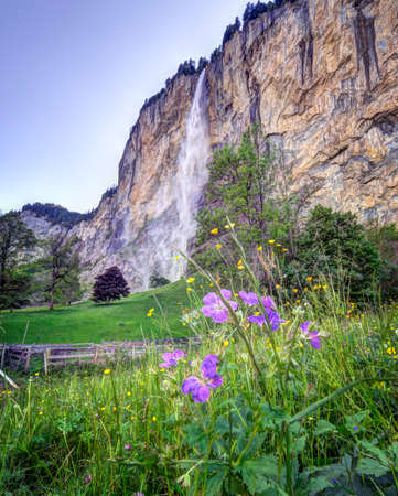 Lauterbrunnen Valley in the Jungfrau region of Switzerland featuring Swiss wildflowers and the Staubbach waterfall.の写真素材