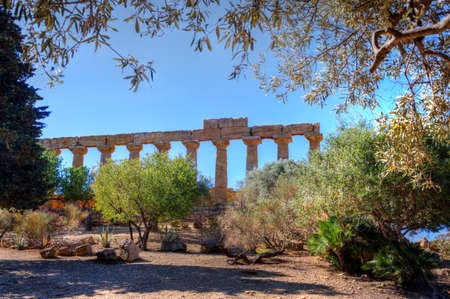 Ancient Greek temple columns surrounded by olive, agave, palm and other local vegetation of Agrigento, Sicily, Italy.のeditorial素材