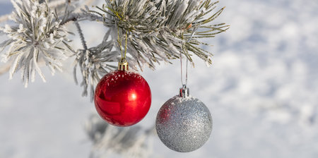 Close up shot of shiny red and glittering white Christmas balls hanging off a Christmas fir tree outside, partially covered in snow. Tree is also covered with snow. Winter holiday decoration concept.の写真素材