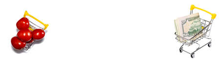 Ripe red tomatoes in shopping cart and cart with us dollar bills on the other end. Isolated on white background. Top, high angle views. Tomato trading and shopping concepts. Banner size. Copy space.の写真素材