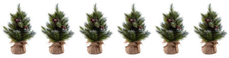Unadorned Christmas pine trees with cones, red berries in pots wrapped in cloth. Tips of pine branches covered with snow. Isolated on white background. Banner size. Seamless pattern.の写真素材