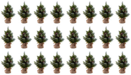 Unadorned Christmas pine trees with cones, red berries in pots wrapped in cloth. Tips of pine branches covered with snow. Isolated on white background. Website design. Banner size. Seamless pattern.の写真素材