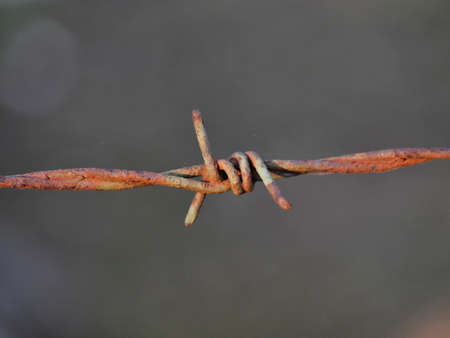 barbed wire detailの写真素材