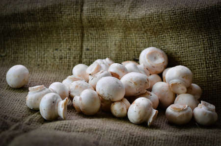 Fresh earthy mushrooms on a hessian backgroundの写真素材